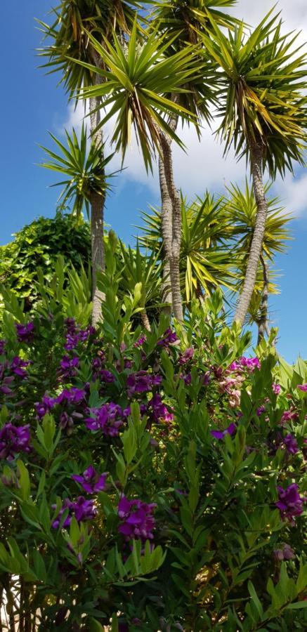 Villa Quinta da Violeta Loulé Esterno foto